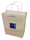 Twisted Paper Handled Carrier