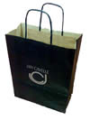Twisted Paper Handled Carrier